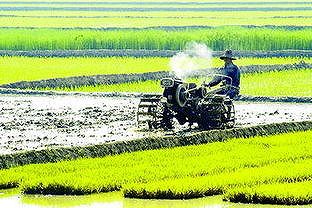 z1bc704dd0e55beb8 「春耕」の様子を描いた茶碗