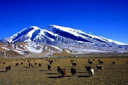 ネットで人気の道路「盤竜古道」の通行再開 新疆維吾爾自治区 z2d2553dcc9b3e2b8 ネットで人気の道路「盤竜古道」の通行再開 新疆維吾爾自治区