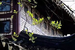 北京の最高気温、来週には17度にまで急上昇の予報 z67fab849fd0089f8 北京の最高気温、来週には17度にまで急上昇の予報