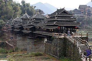 z75c25259f9517e58 広西壮族自治区柳州市　ほころぶ花にたくさんの観光客