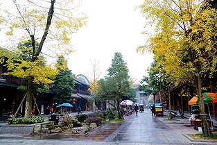 日本の大学生が成都市街子古鎮を訪問 四川省 z9d9a38cd2431a0fe 日本の大学生が成都市街子古鎮を訪問 四川省