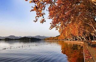 右手を失った男性、筋電義手でピアノが弾けるように za03aa3cb9ccadefb 右手を失った男性、筋電義手でピアノが弾けるように