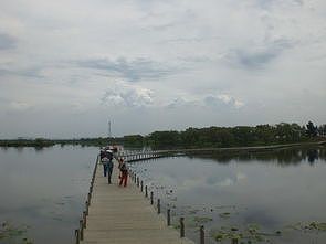 zb9a720dd24d3bdf6 遼寧省瀋陽の湿地に希少な渡り鳥「パンダガモ」が飛来