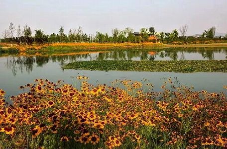 z1ce4f186d00a3455 自然放牧によりモウコノウマ個体数の回復を実現　甘粛省敦煌市