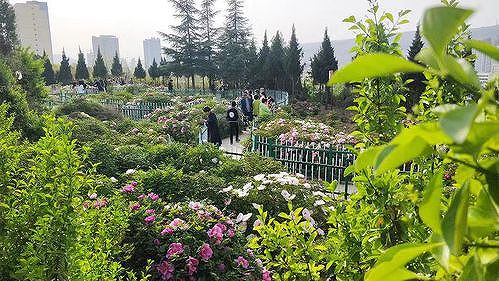 甘粛省天水市を3月に訪問した観光客464万人 観光収入約567億円 z64d1779194bdce8c 甘粛省天水市を3月に訪問した観光客464万人 観光収入約567億円