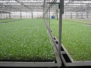 z661f36821197517c 湖南省、播種・育苗でも3Dプリント