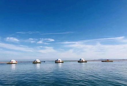 zc604043c28c70d81 ピークを迎えた鮑の「南北移送」　山東省栄成市