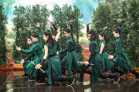 z2e0cbccd1c71945f 四川の「女子カンフー団」がネットで話題に