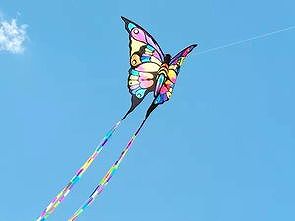 z463b2158de743cea こんにちは、友情の凧