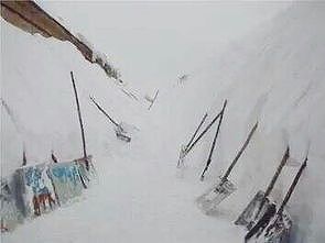 z4e5b4222fd5bd01f 習近平国家主席がロシアのプーチン大統領と会談