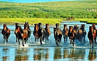 z15473874ac849e94 100年以上の歴史を誇る観光地域「喀賛其」に輝く地元の人の笑顔