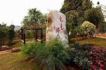 z5d04917ba0c80c90 農村の高齢者向けサービスレベルを引き上げる「幸せな食卓」　海南省