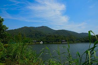 zdcfb5d2417cdebb4 農村観光を盛り上げるキャンプ経済　江西省gan州市