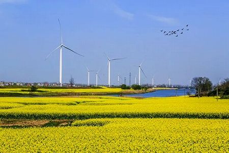 z91711d5e9831fd33 豪雨に見舞われた江西省江洲鎮が同郷の人々に「故郷からの便り」発信　1千人以上が帰省