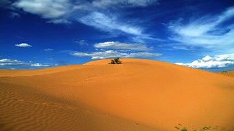 za71c5542f8857e62 「グリーン変革」をもたらす革新的砂漠化対策モデル　内蒙古自治区