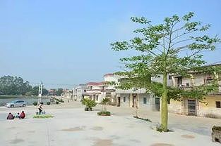 zd3785182fb9566f7 シェア水素バイク500台、四川省成都市で運用開始