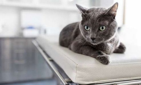 新しいスタイルで家事代行サービス業界に進出する中国の若者 zda79b83f651e61f5 新しいスタイルで家事代行サービス業界に進出する中国の若者