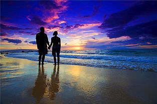 「China Travel」ブーム続く! 深セン市が人気のインバウンド目的地に zpg227f3dafba8704d5 「China Travel」ブーム続く! 深セン市が人気のインバウンド目的地に