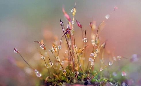 今月8日に二十四節気の17番目「寒露」到来 z0c8b68e641a663e0 今月8日に二十四節気の17番目「寒露」到来