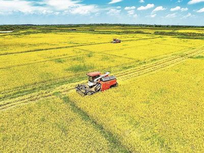 z8d71c8a394606bdb 生まれ故郷でショート動画を撮影して農村振興を後援する貴州省の若者