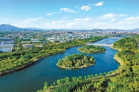 北京市郊外の水辺に広がるまるで「白鳥の湖」のような光景 z4862478e364f9641 北京市郊外の水辺に広がるまるで「白鳥の湖」のような光景