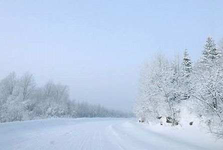 zb3c4d257ae755a3f 中国は観測史上最も暖かい11月中旬に　気温は平年比約3度も高めに
