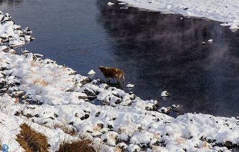 z0444b77e5ee47b7b 氷点下30度の極寒でも凍結しない川に咲く「氷の花」　内蒙古自治区