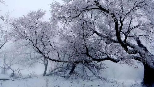 12月21日午後5時20分20秒に「冬至」到来 ここ128年で最も早い到来 z3cb2a7c798df464b 12月21日午後5時20分20秒に「冬至」到来 ここ128年で最も早い到来