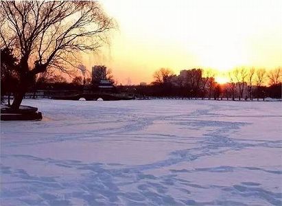 6日に二十四節気の21番目「大雪」到来 z7bbfcdd11a34443a933c3693dcbc7c8f 6日に二十四節気の21番目「大雪」到来