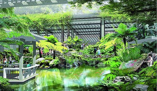 冬を迎え500種のブーゲンビリアが満開に 福建省厦門市 z954fdb49967a4968 冬を迎え500種のブーゲンビリアが満開に 福建省厦門市