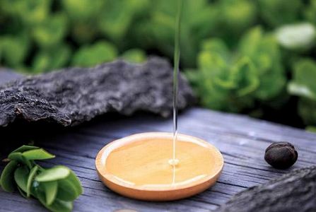 小さな油茶の実から生まれた10億元規模の大産業 浙江省 z1cf4f9af6797b8d9 小さな油茶の実から生まれた10億元規模の大産業 浙江省