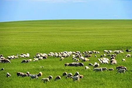 zaf29ee999fe4f238 温もり届け、草原を走る「鈍行列車」　内蒙古自治区